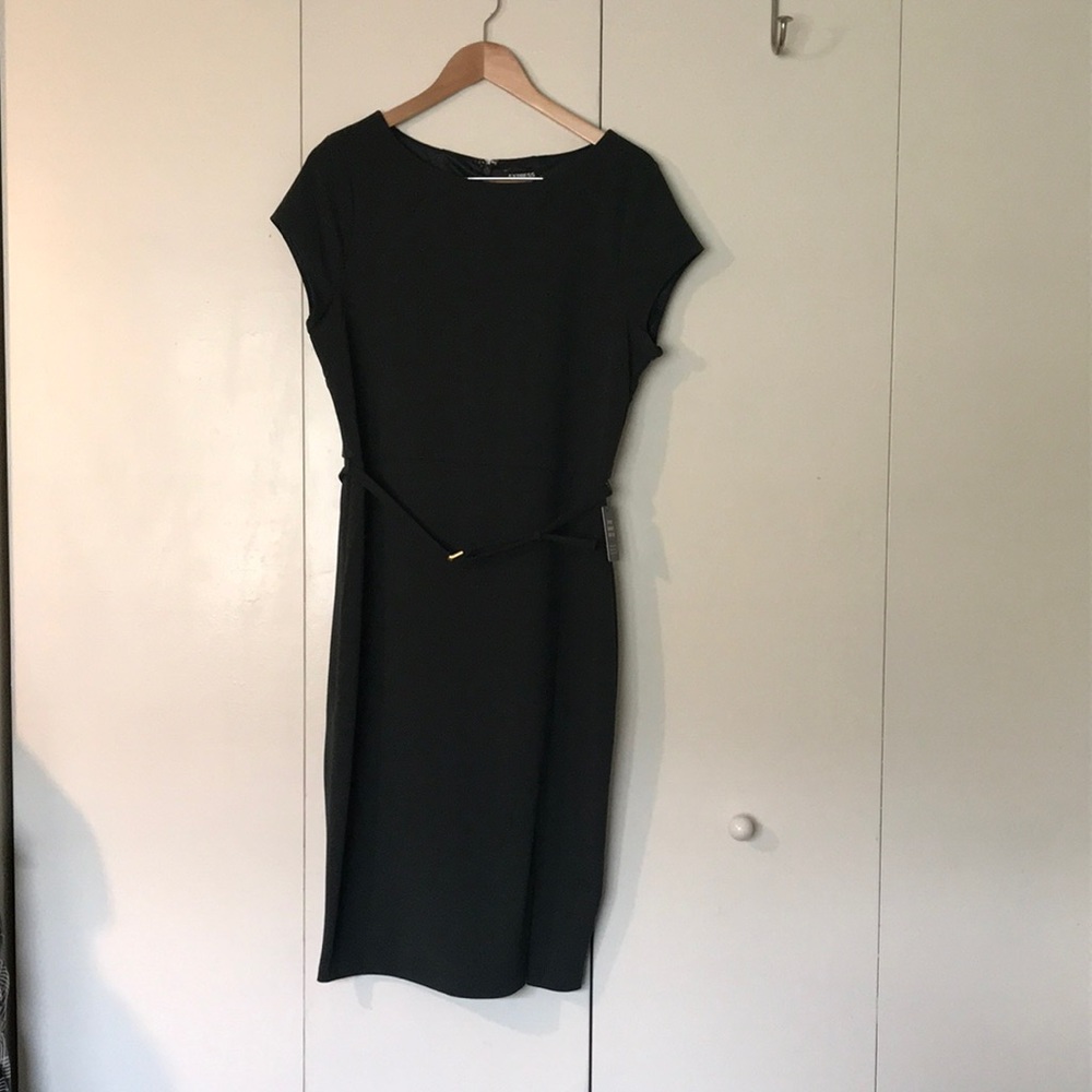 Express Sheath Dress- Green